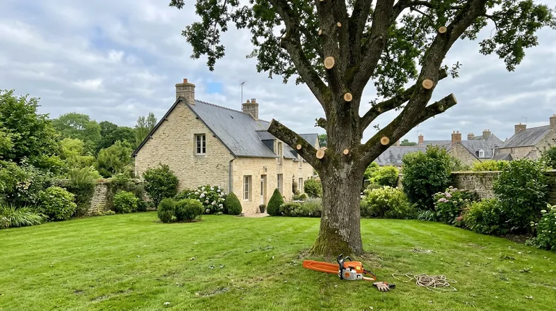Élagage d'arbre Bayeux