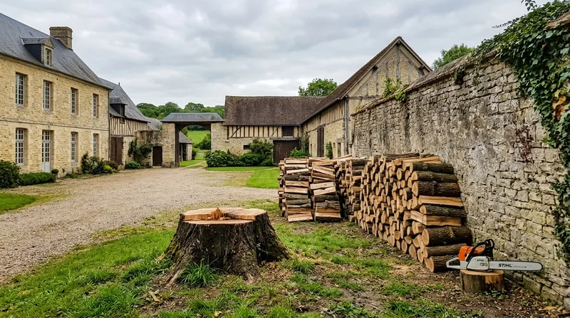 Abattage d'arbre Bayeux
