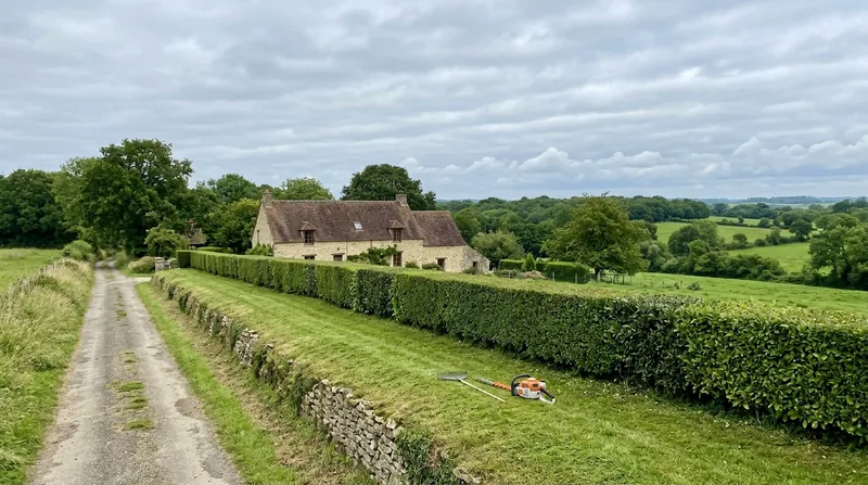 Taille de haies Bayeux